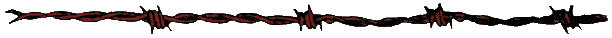 Barbed Wire Divider